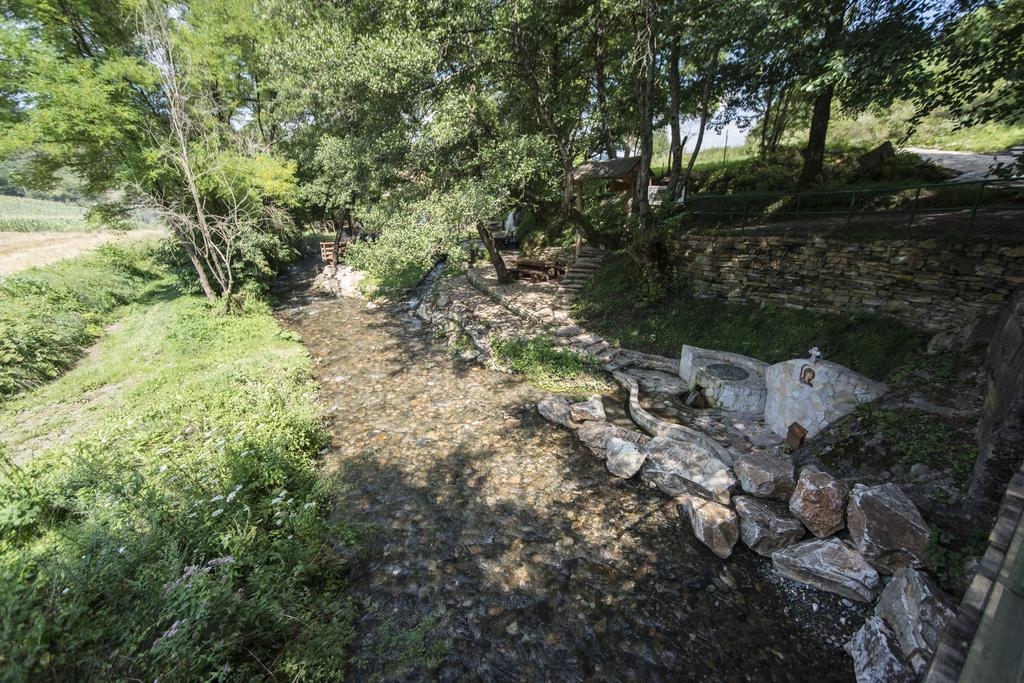 Gradacka Banja Brvnare Apartment Luaran gambar